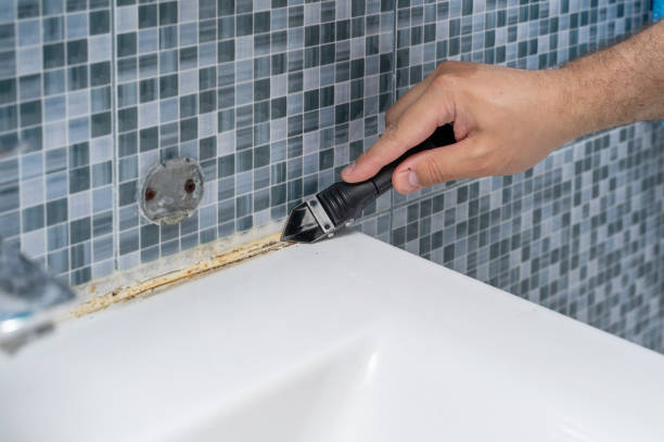 Professional Mold Removal in Deland Southwest, FL