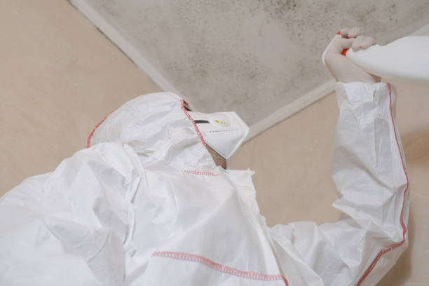 Best Fast Mold Removal  in Deland Southwest, FL