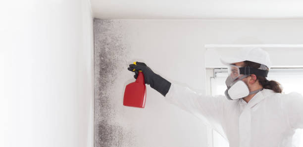 Certified Mold Removal in Deland Southwest, FL