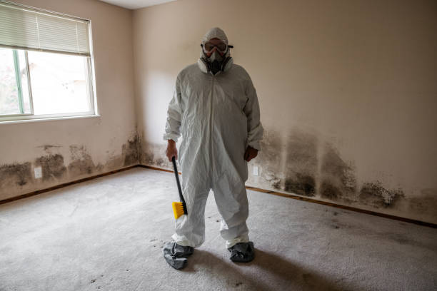 Best Mold Damage Repair  in Deland Southwest, FL